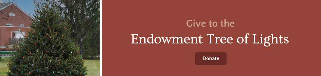 Endowment-TOL-CTA
