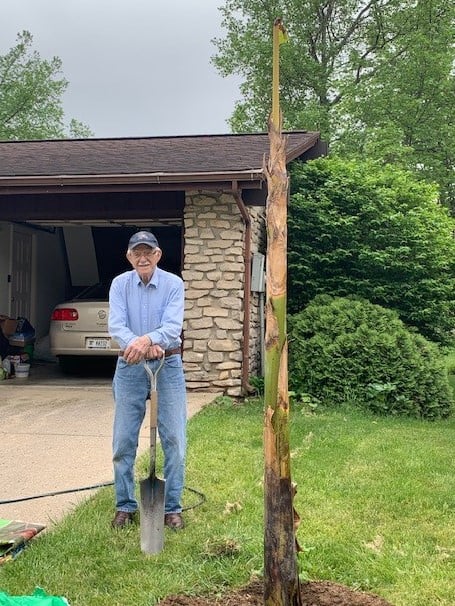 Keith and banana tree